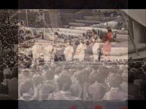 Pachoły "Weronika" - Opole 66