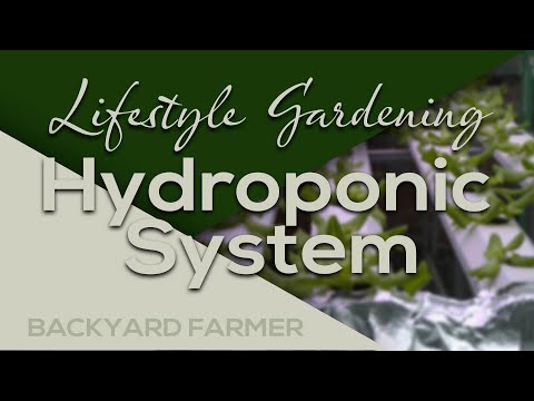 Hydroponic Systems