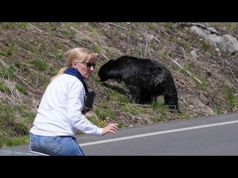 The TERRIFYING Last Moments Of Isabelle Dube