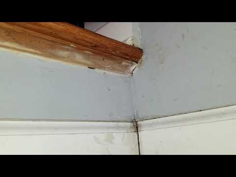 Ants Coming From Below in Brielle, NJ