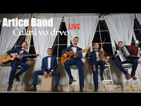 Artico Band - Čukni vo drvo | live