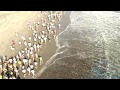 1º Bola Running Beachs Run