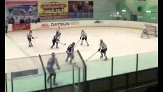 Žalgiris - Rossoš 2015 01 31