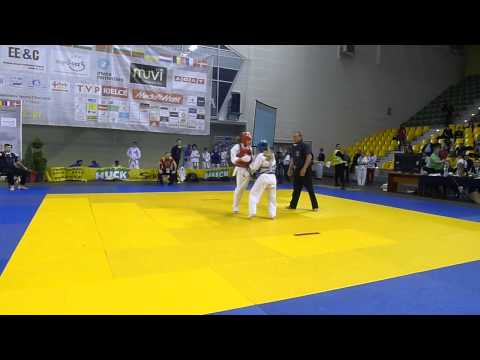 EUROPEAN KYOKUSHIN SHINKYOKUSHIN. KARATE CHAMPIONSHIPS. FOR CADETS, U22 and ADULTS OPEN