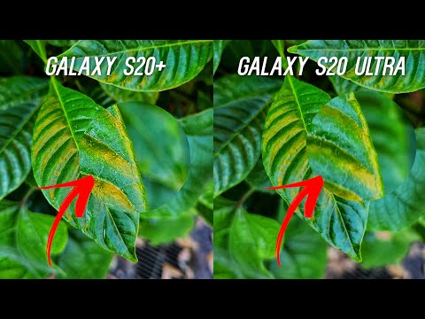 Galaxy S20 Ultra vs S20 Plus Camera Comparison Test!
