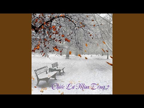 Bốn mùa bốn màu - Tam Ca Áo Trắng