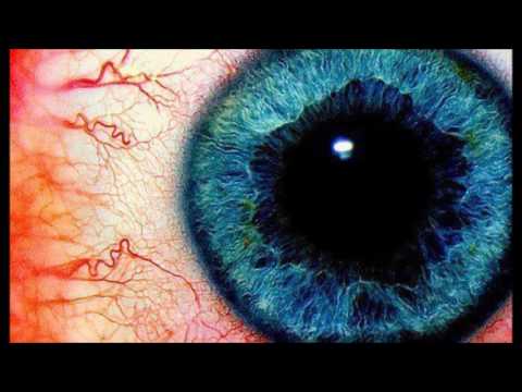 NONAME  - The Smell Of Nature