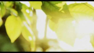 Red Moon by The Walkmen [HD]