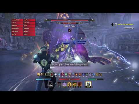 Tanking Z'Maja With My Bare Hands