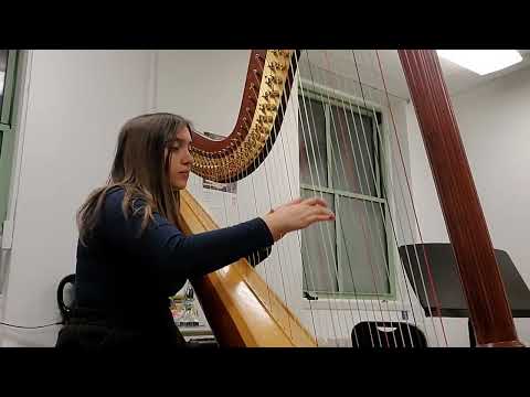 Promotional video thumbnail 1 for Talya Kaplan, Harpist