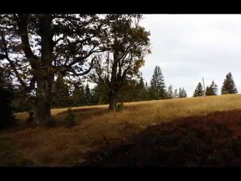 Großer Falkenstein - Wandern im Bayerischen Wald