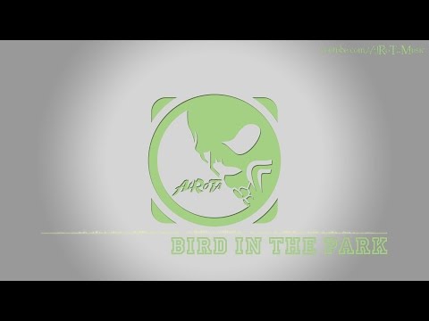 Bird In The Park by Stefan Netsman - [Instrumental Pop Music]