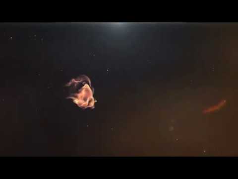 highlights_CBC Hípica x Apagebask