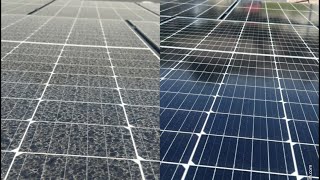Solar cleaning - Water hose vs Rain vs Professional cleaning