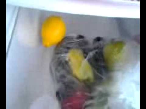 Inspectori frigidere din Ludasi.