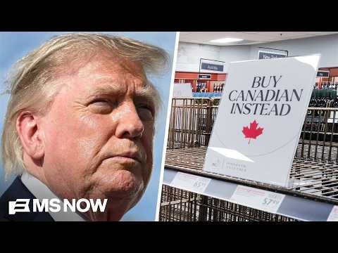 What Trump tells Americans about Canada is 'so incredibly far off from the facts': Hillyard