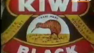 Compilation of PTV Classic Commercials -15 PTV Ads from 1980s