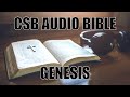 CSB Audio Bible Genesis 8