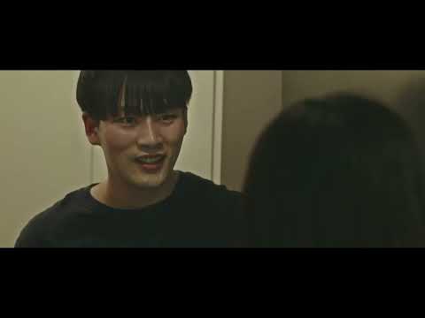비디오 5