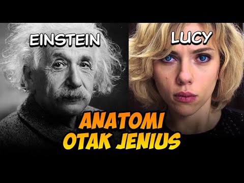 BENARKAH EINSTEIN MENGGUNAKAN KAPASITAS OTAK DI ATAS 10%??