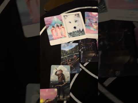 Promotional video thumbnail 1 for Divine Path Oracle