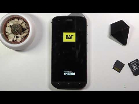 How to Factory Reset CAT S61 – Erase All Personal Data & Customized Settings