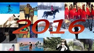 2016, МОЖТ ТЕ ПОРА,А?  | Kill The Giant – Party in My Pants