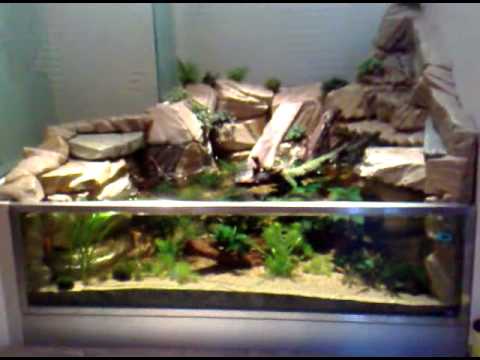 pourquoi la pompe de mon aquarium fait du bruit