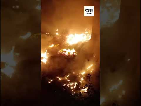 Governo reconhece emergência em 36 cidades no Amazonas após incêndios