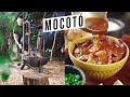FIZ MOCOTÓ NA FLORESTA Shorts