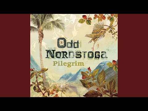 Eit land ei elv ei bru - Odd Nordstoga