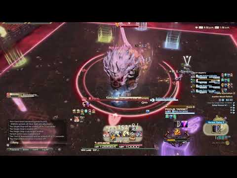 FFXIV Another Mount Rokkon (Criterion) Single Pull full clear 19:49