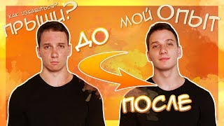 Ссылка