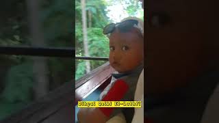 Download lagu Dihyal Qolbi El-Luthfi. mp3