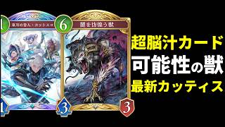 【シャドバWB】ハマったら最強『闇を彷徨う獣』はガチ！可能性の獣を信じろ！最新カッティスネメシス【Shadowverse: Worlds Beyond】