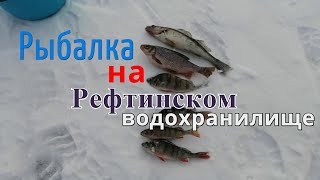 Рефтинское водохранилище рыбацкая карта