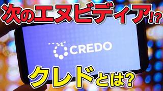 今見逃すとまずい!! AIで270%成長するCredo Technologyについて分かりやすく解説