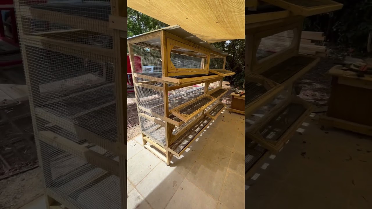 Three layer Quail cage on wheels, 6 doors with roll away egg trays #CoopsByJoe #diy #viral #fypシ