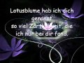 tobee lotusblüte with lyrics 