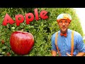 Blippi Visits An Apple Fruit Factory Blippi Visits Educational Videos For Kids