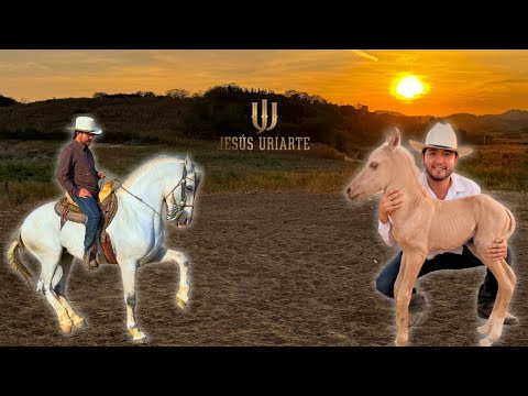 SOY BORBOLLA and El Compa Pike