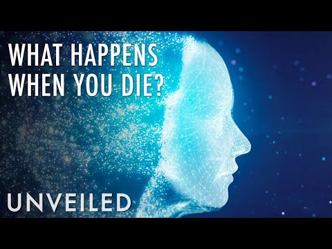 What Happens When We Die? | 4 Bizarre Theories | Unveiled（What Happens When We Die? | 4 Bizarre Theories | Unveiled）