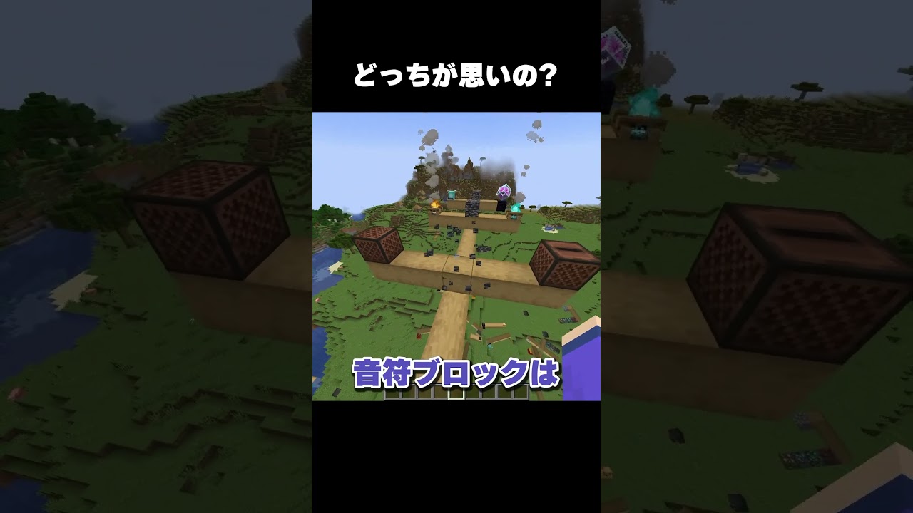 実は気になるあの大きさ🫣 #マイクラ