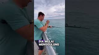 Download lagu mancing ikan besar di pelabuhan mp3 Download lagu mancing ikan besar di pelabuhan mp3