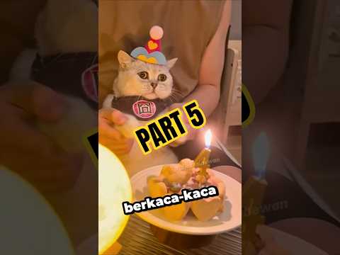 PART 5Sasha Di Kasih Surprize Majikannya‼️😱🥰#shorts