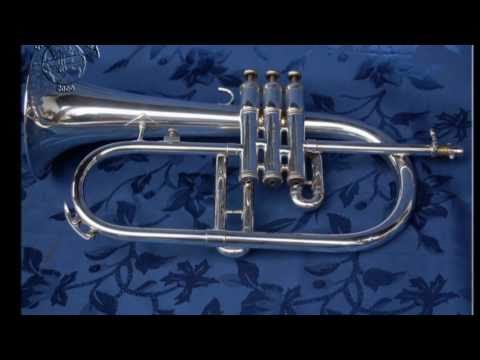 King 650 Flugelhorn, music by Luca Calabrese & Pizza Trio