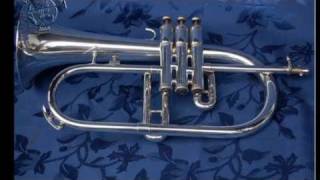 King 650 Flugelhorn, music by Luca Calabrese & Pizza Trio