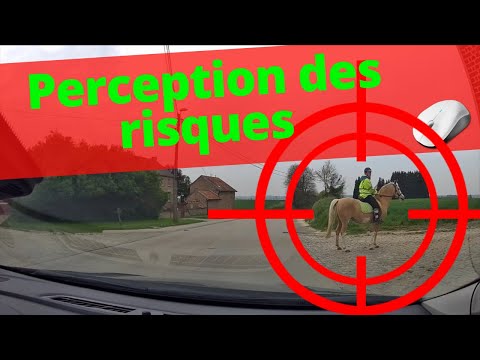 Perception des risques