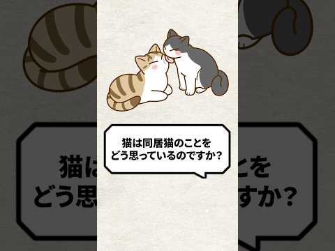 猫は人間のことをどう思っているのでしょうか?