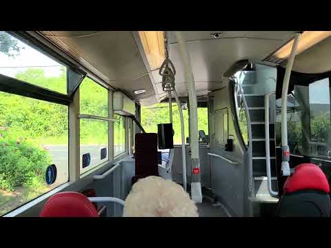 *VERY RARE ON THE 84* Onboard Little Pinks 84 to Concord - Go North East 6191 - MX07 BUV